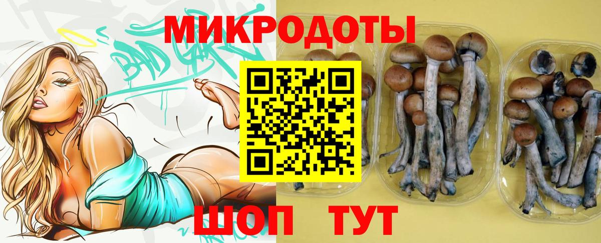 цена   Вход с VPN  Саров  Галлюциногенные грибы ЛСД 