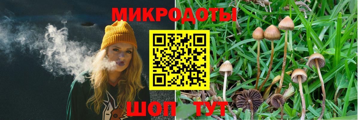 Псилоцибиновые грибы ЛСД Саров